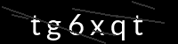 PHP Captcha für Piwigo