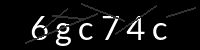PHP Captcha für Piwigo