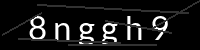 PHP Captcha für Piwigo