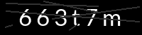 PHP Captcha für Piwigo