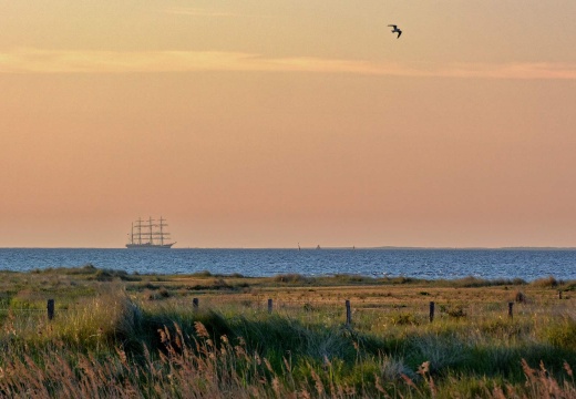 Schweden Tour - Fehmarn