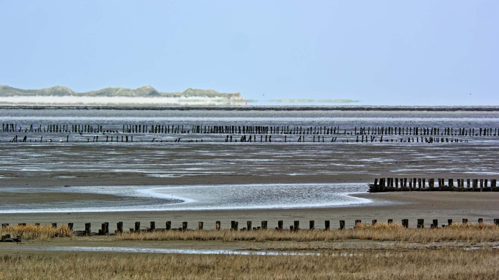 075_Ternaard_V313730_WbZbv_Küstenlandschaft_Ameland.jpg