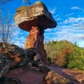 Teufelstisch bei Hinterweidenthal in der Pfalz