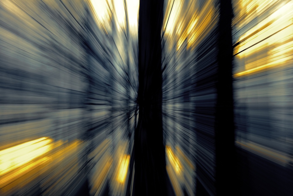 14-02_dynamischer Wald_707964_bWbhfv.jpg