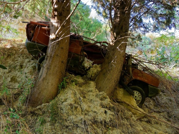 Gallina - Autowrack
