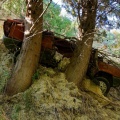 Gallina - Autowrack