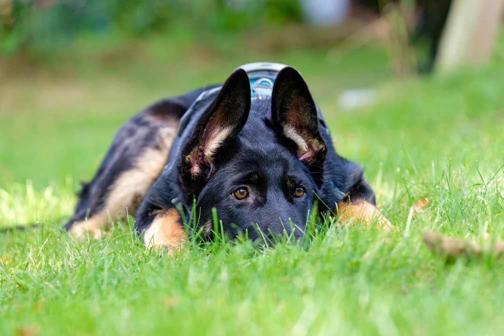 25-08_erster Tag_D8512281_WbZMbv_liegend.jpg