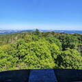Ausblick vom Aussichtsturm  Wildenburg