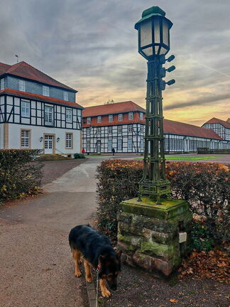 Teuto/Weser-Tour: Gräflicher Park Bad Driburg 