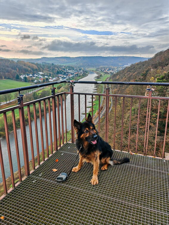 101_Bad Karlshafen_251115_JZEbv_Weser Skywalk_Santos.jpg