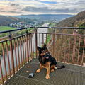 Teuto/Weser-Tour: Santos am Weser Skywalk