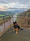 Teuto/Weser-Tour: Santos am Weser Skywalk