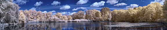 Der Mühlenteich in Trittau_180