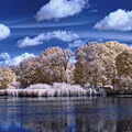 Der Mühlenteich in Trittau_180
