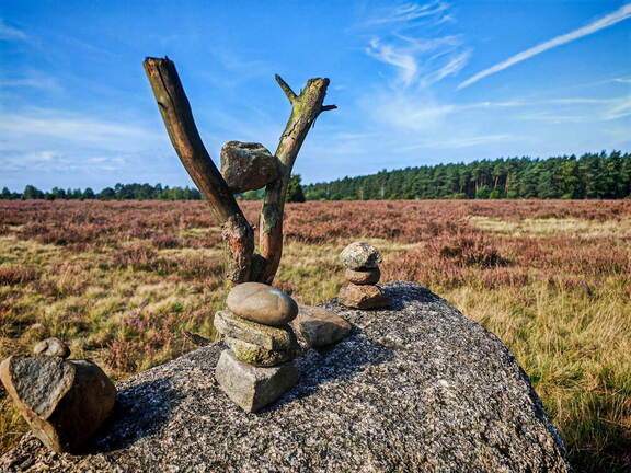 Elbe/Ostsee-Tour:  Südheide bei Faßberg